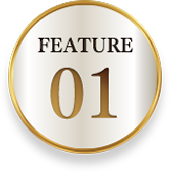 Feature 01