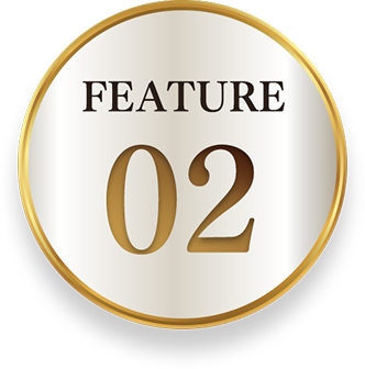 Feature 02