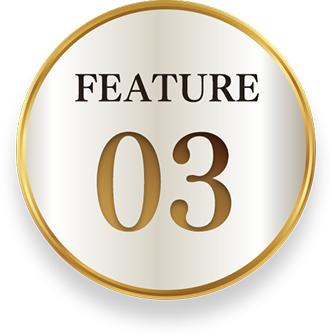 Feature 03